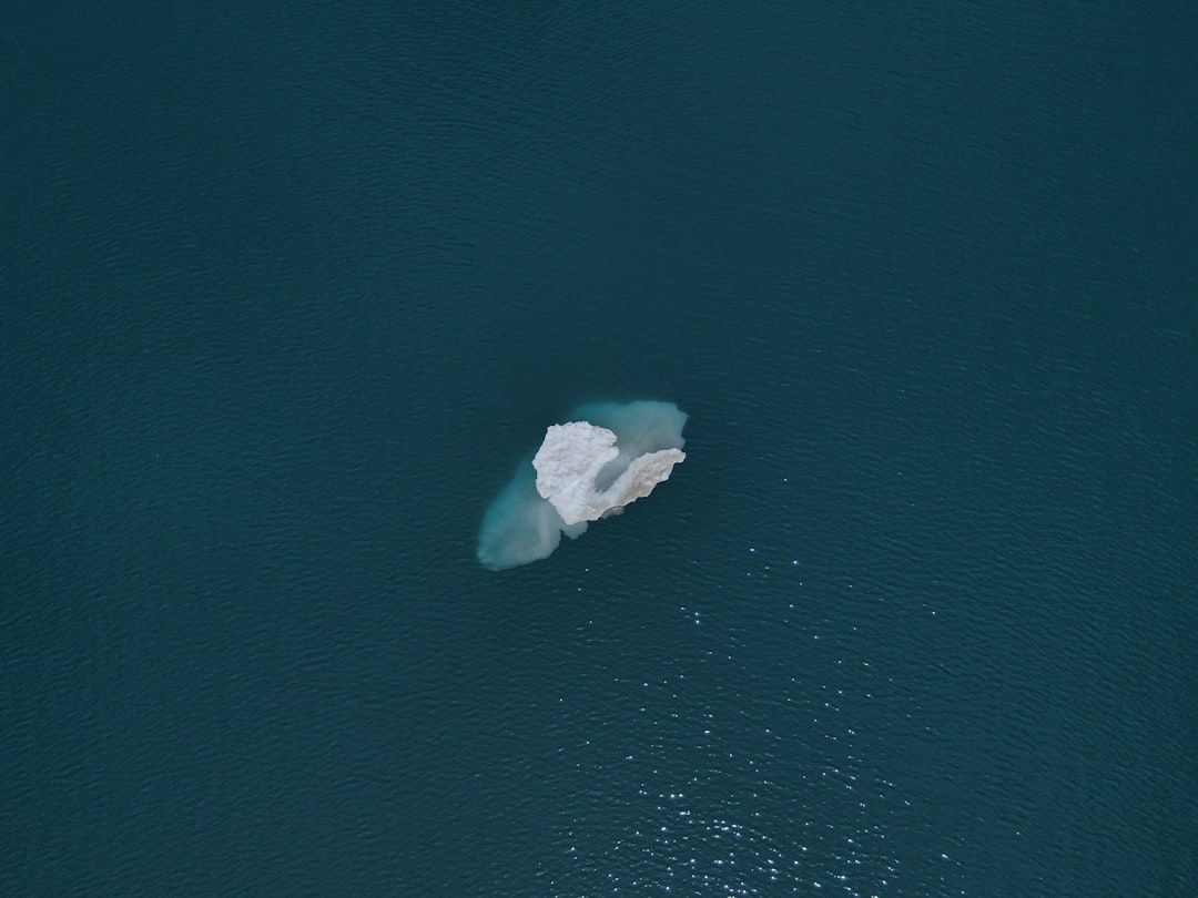 iceberg order o que é - while useful