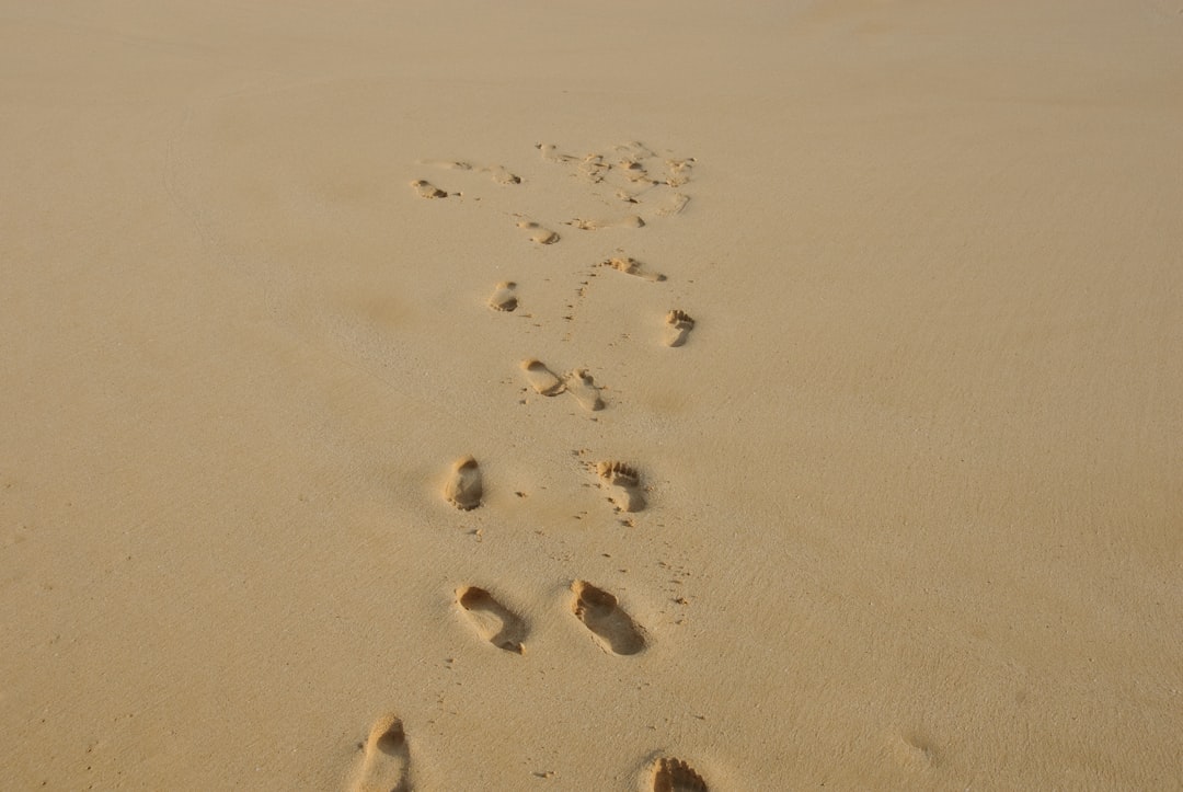 Microcrédito em DeFi - step follow Microcrédito em DeFi - step follow