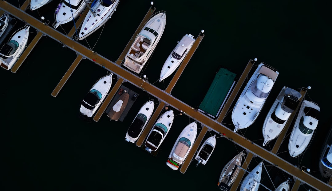 Bored Ape Yacht Club (BAYC) - Bored Ape Yacht Club (BAYC): Guia Completo, História, Valor e Estratégias para Investidores em 2025