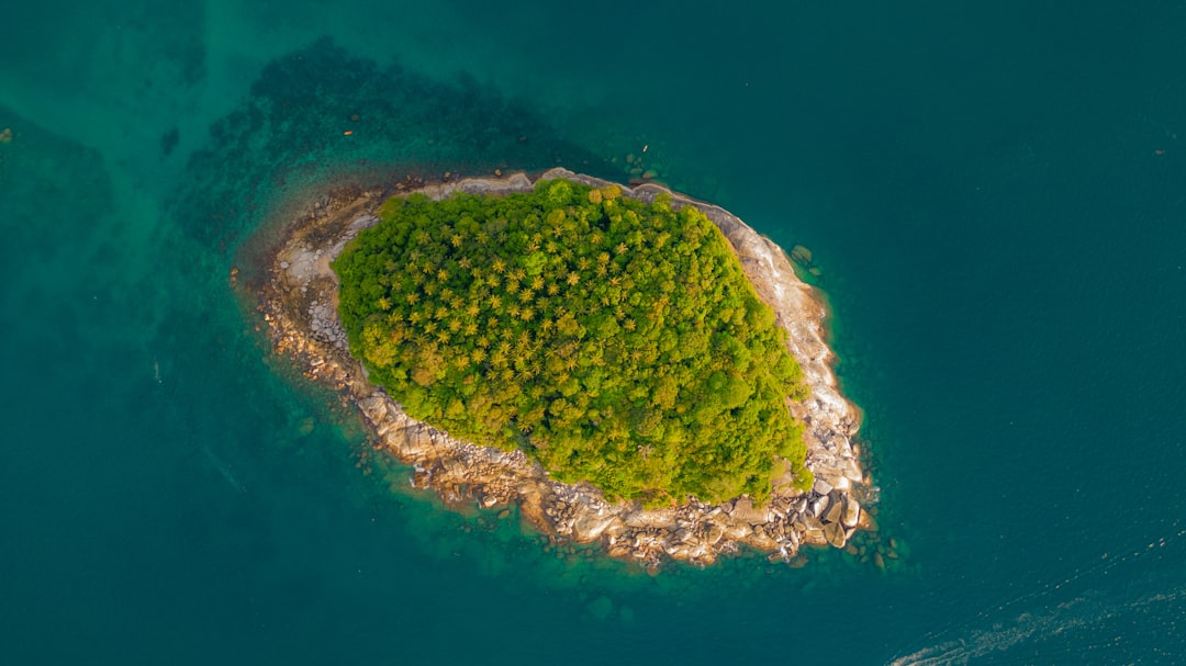 nifty island - crypto ecosystem