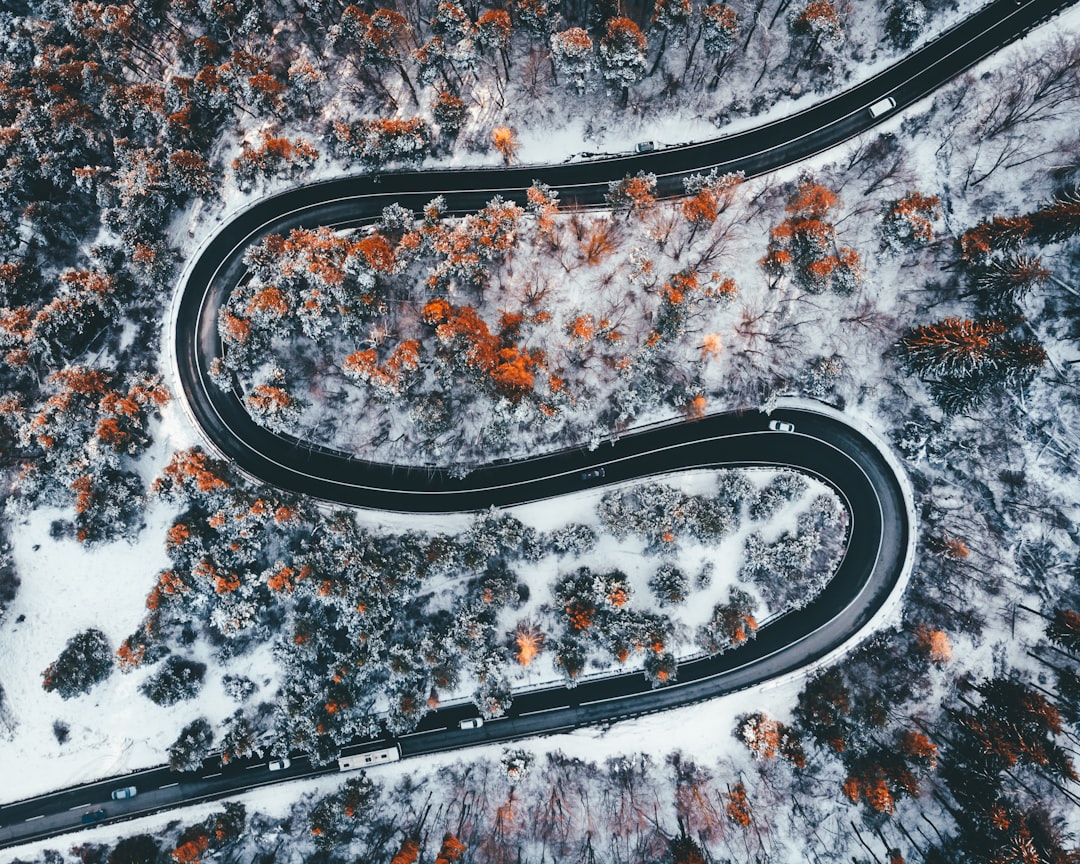 starknet ecosystem - important track