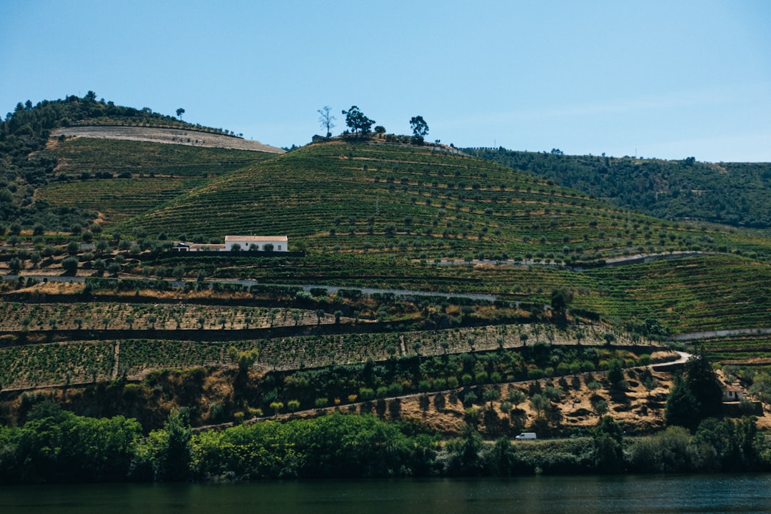 Blockchain Portugal - douro wineries Blockchain Portugal - douro wineries