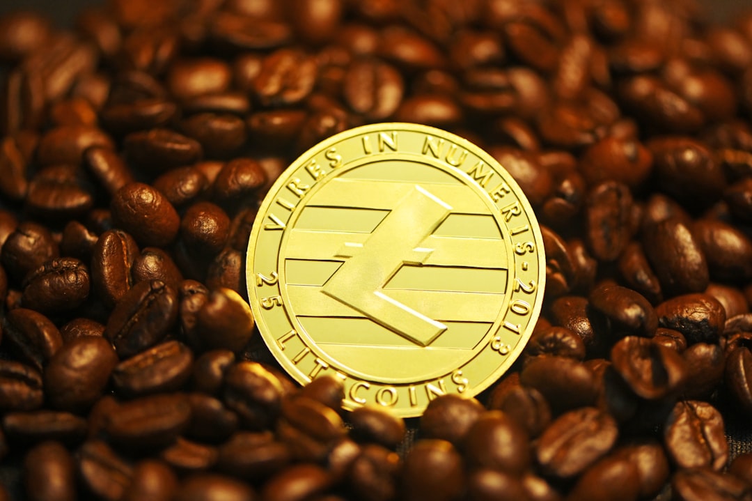 zed run - wrapped tokens