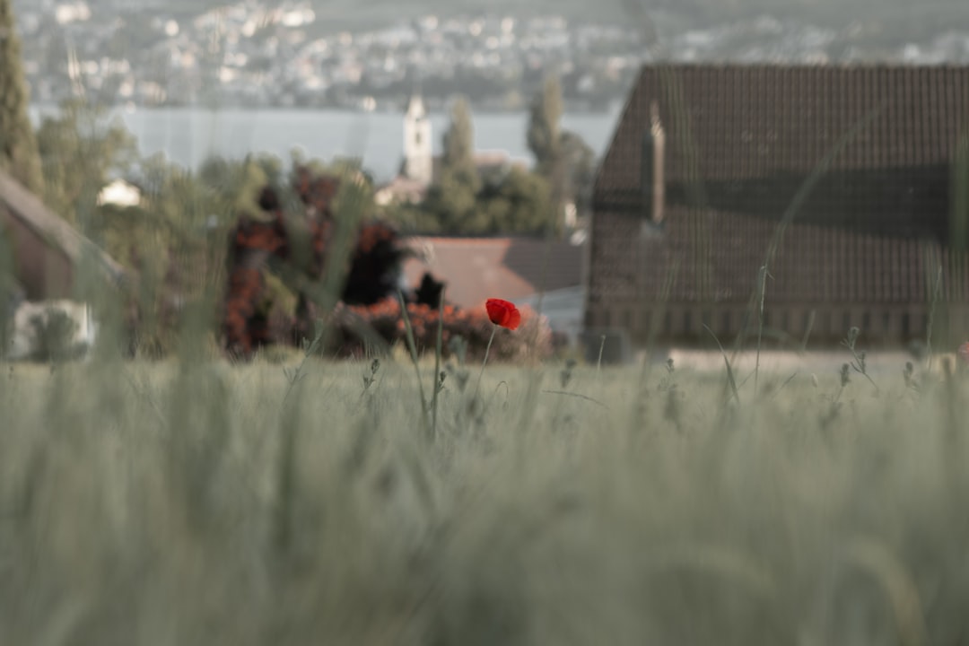 Ataque de 51% o que é - Ataque de 51%: O que é, Como Funciona e Como Proteger seus Investimentos em Criptomoedas