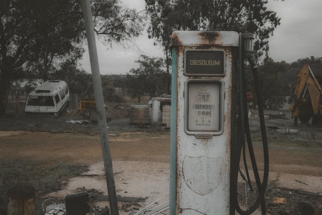 pump dump esquema - addition recognizing pump dump esquema - addition recognizing