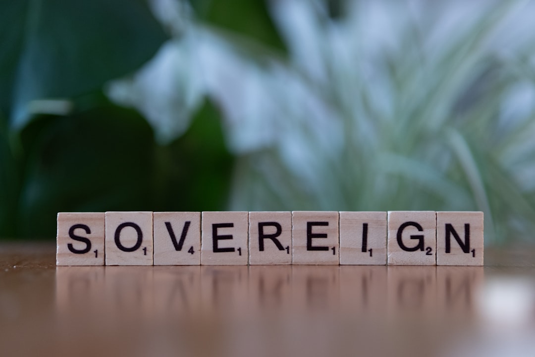 metaverso investir como - metaverse governance