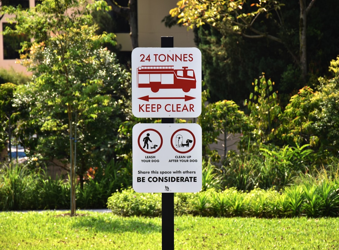 ponzi scheme sinais - Como Identificar Sinais de Ponzi Scheme: Guia Completo para Proteger Seu Dinheiro