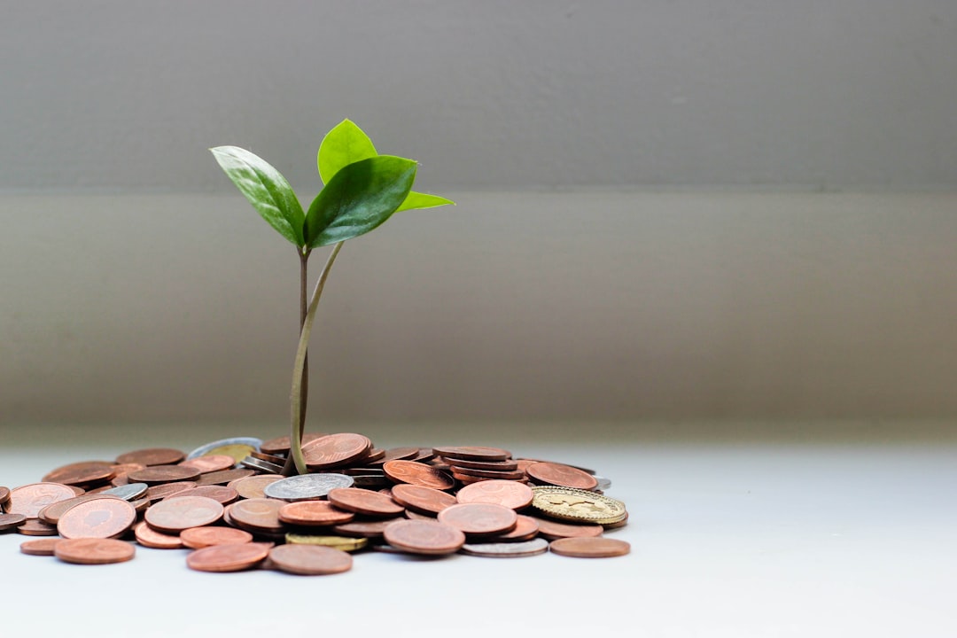 four fund - imagine investor