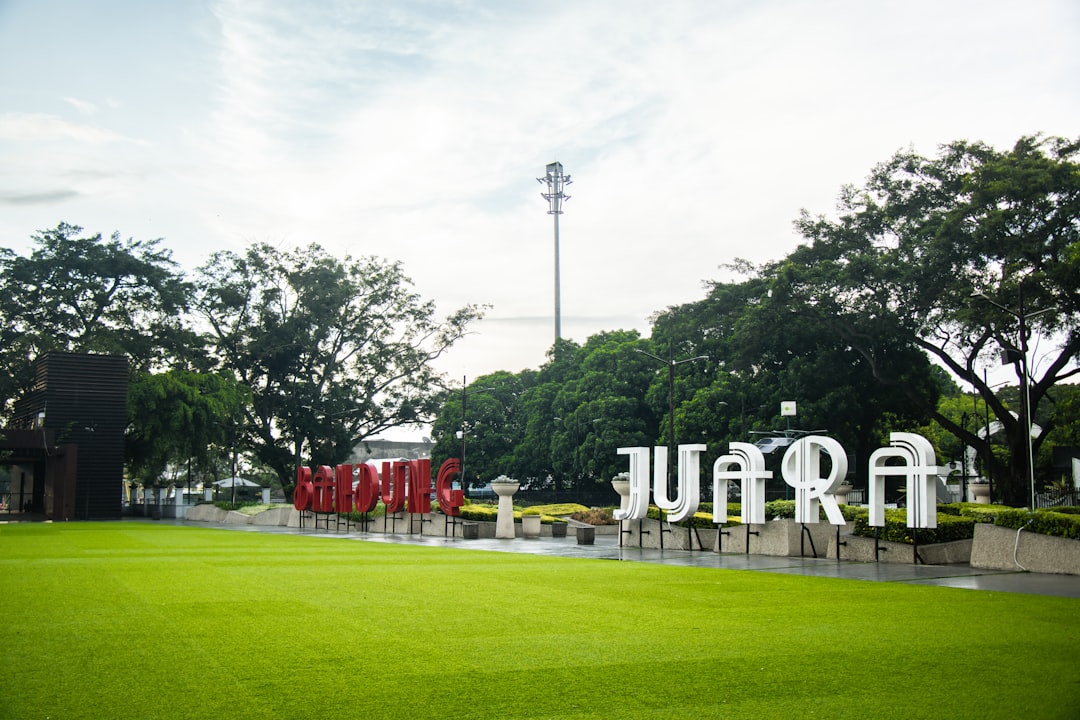 fifa ultimate - your plan