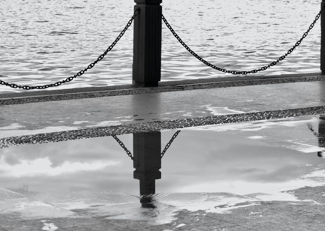 liquidity voids - bridges quot