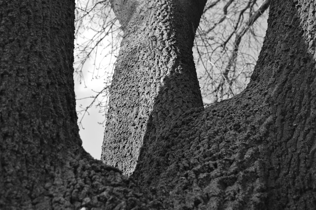 Árvores de Merkle e prova de solvência - merkle public Árvores de Merkle e prova de solvência - merkle public