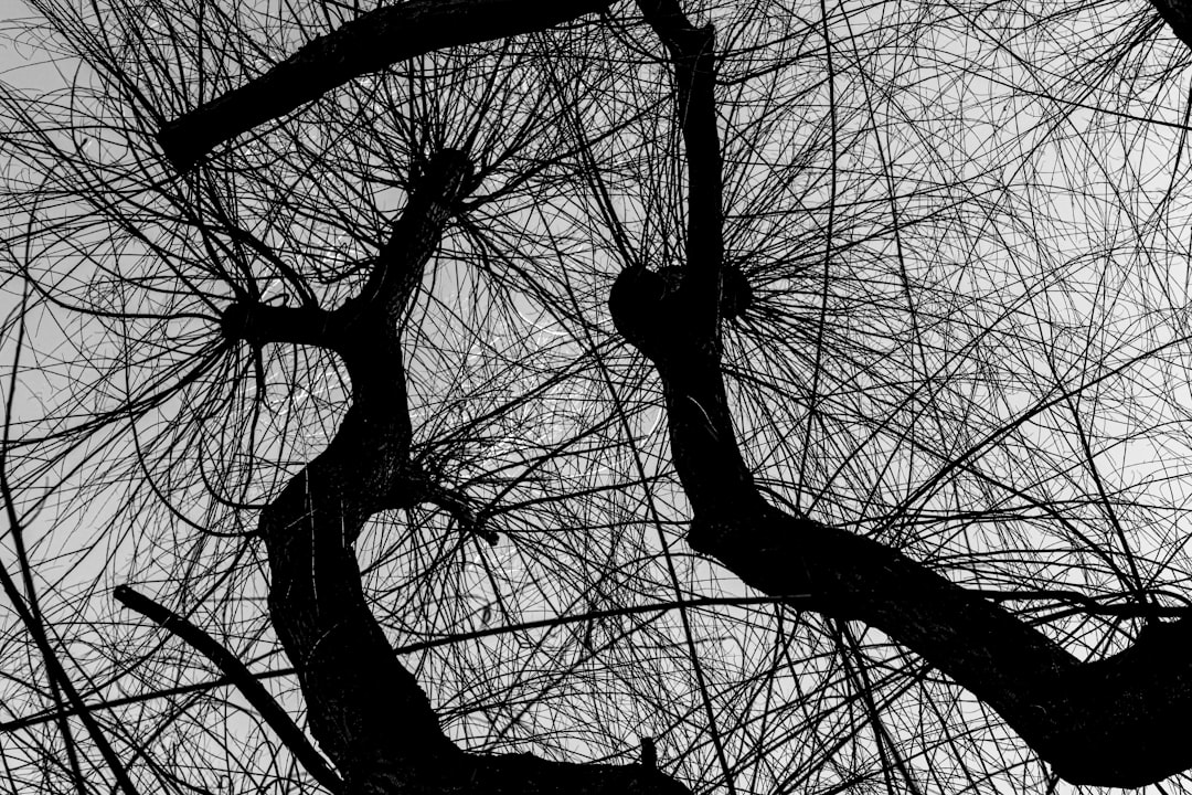 O que é o "paradoxo de Fermi" e como a blockchain poderia ajudar a comunicar com civilizações extraterrestresComo se preparar para o futuro da Web3 - Desvendando o Paradoxo de Fermi: Como a Blockchain Pode Facilitar a Comunicação com Civilizações Extraterrestres e Preparar Você para o Futuro da Web3