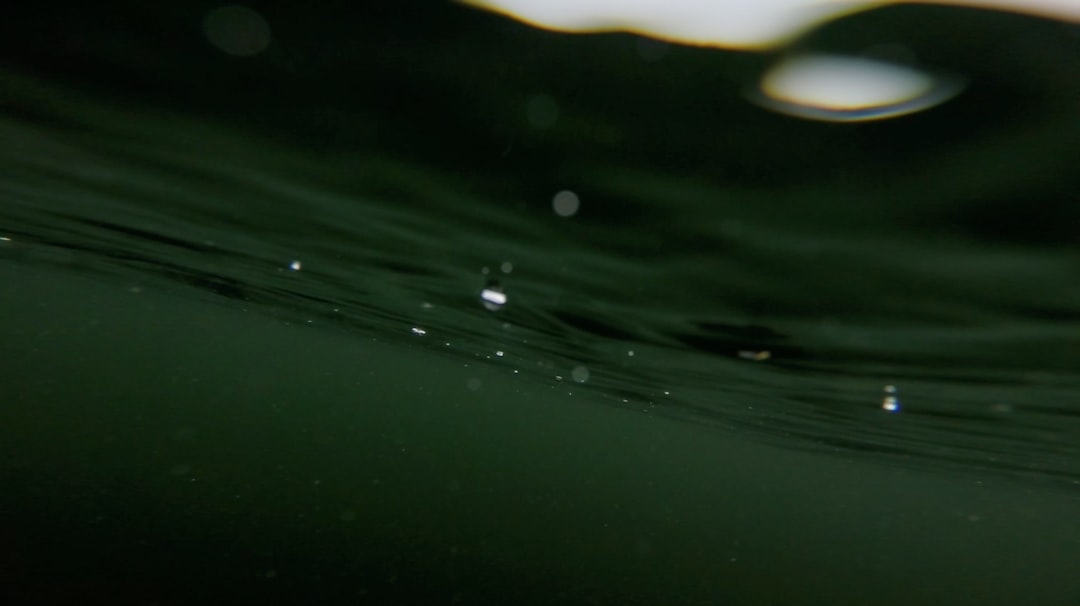 O que é liquidação - best practice O que é liquidação - best practice