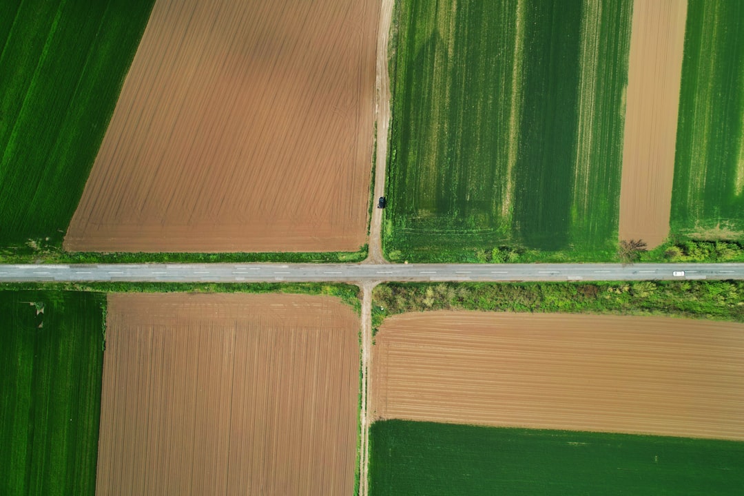 O que é "Real Yield" em DeFi - O que é Real Yield em DeFi? Guia Completo para Investidores em 2025