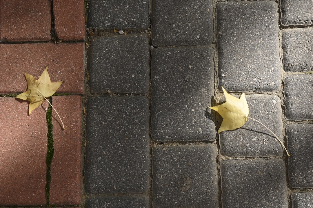 defi impermanent loss - Impermanent Loss no DeFi: O que é, como calcular e estratégias para mitigá‑lo em 2025