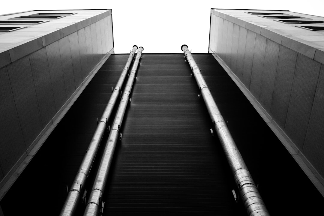 Como Fazer Trading de Margem na Binance: Guia para Iniciantes - mitigate follow Como Fazer Trading de Margem na Binance: Guia para Iniciantes - mitigate follow