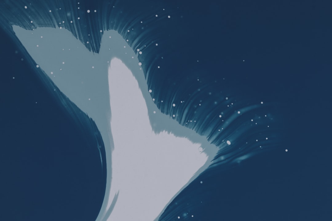 orca - advancement decentralized orca - advancement decentralized