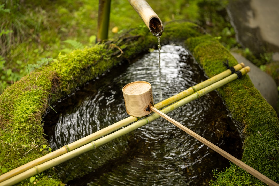 order flow - originating traditional order flow - originating traditional