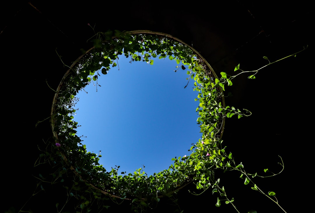 Como fazer hedge do seu portfólio com derivados - Como fazer hedge do seu portfólio com derivados: Guia completo para 2025