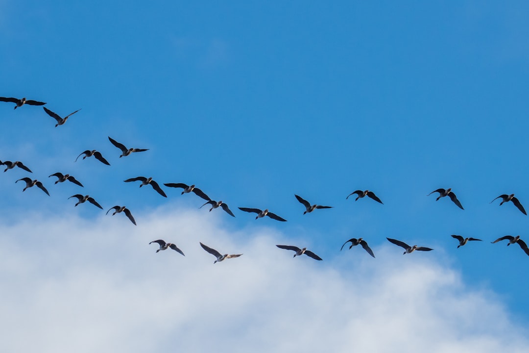 O que é a Prova de Participação (Proof of Stake) - migrating brings