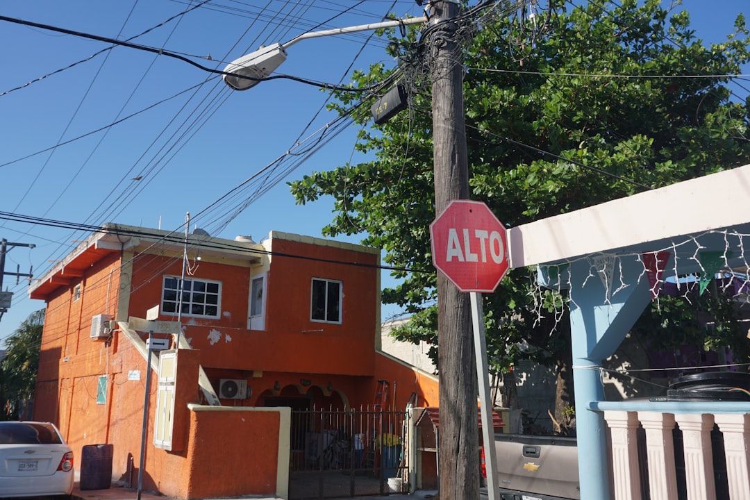 my neighbor alice brasil - practical tips my neighbor alice brasil - practical tips