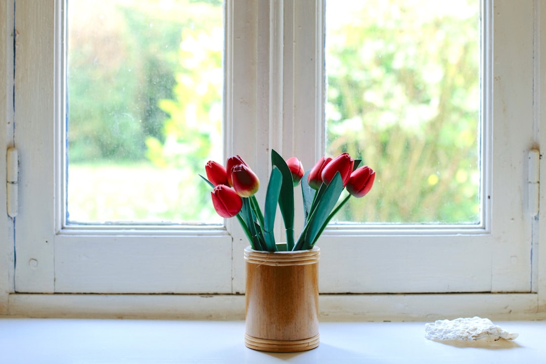 tulip - considering investing tulip - considering investing