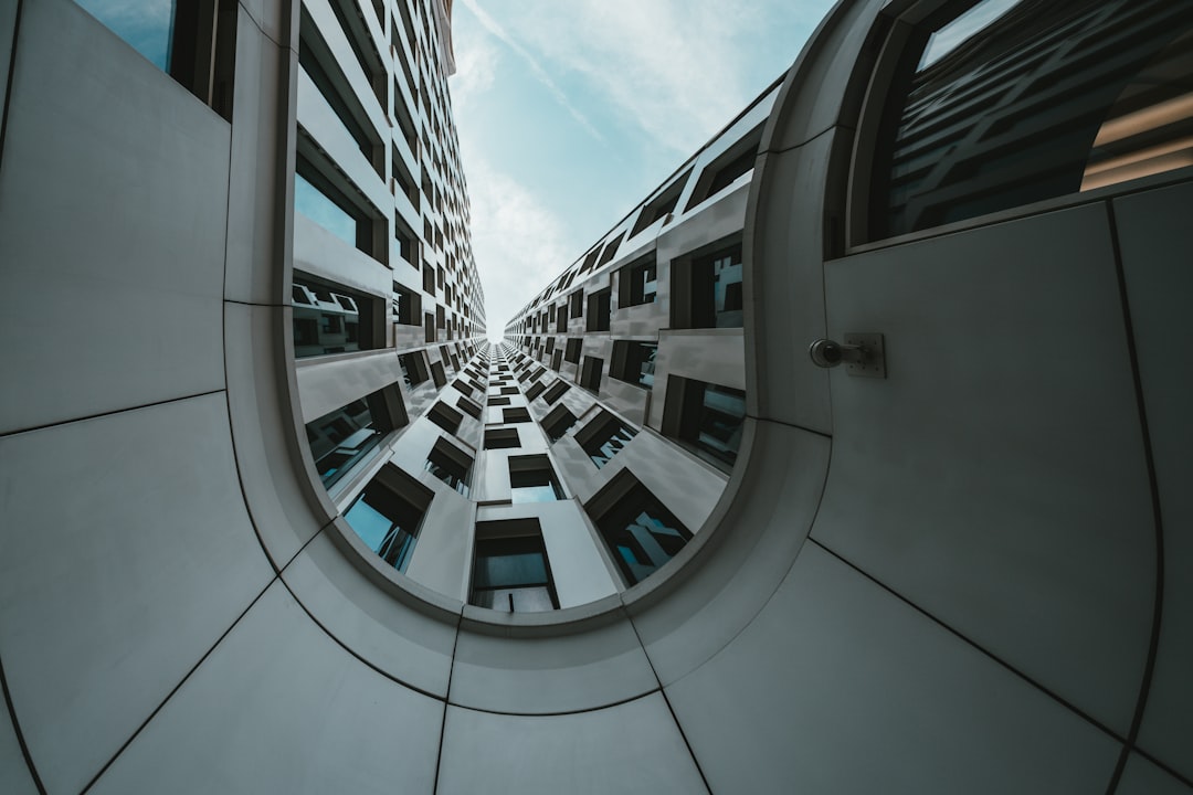 paradigm ventures - Paradigm Ventures: O Futuro do Venture Capital no Ecossistema Crypto Brasileiro
