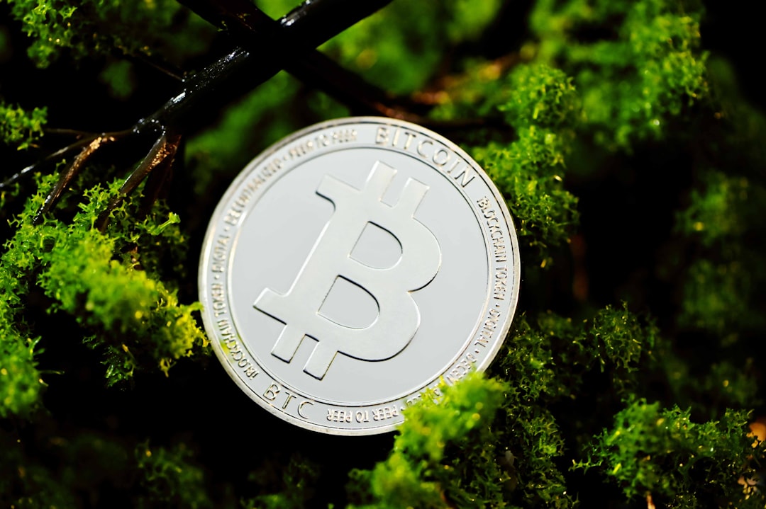Criptomoedas verdes - Criptomoedas verdes: O futuro sustentável das finanças digitais