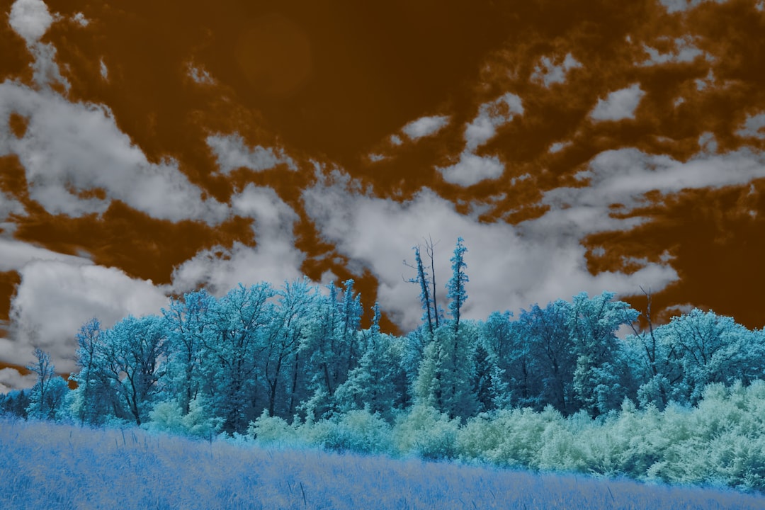 metaverso terrenos virtuais - visual assets