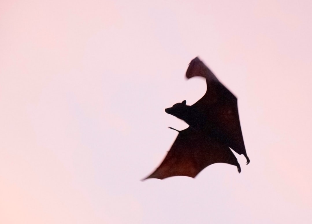 vampire attack - Vampire Attack em DeFi: Como Funciona, Riscos e Estratégias de Defesa em 2025