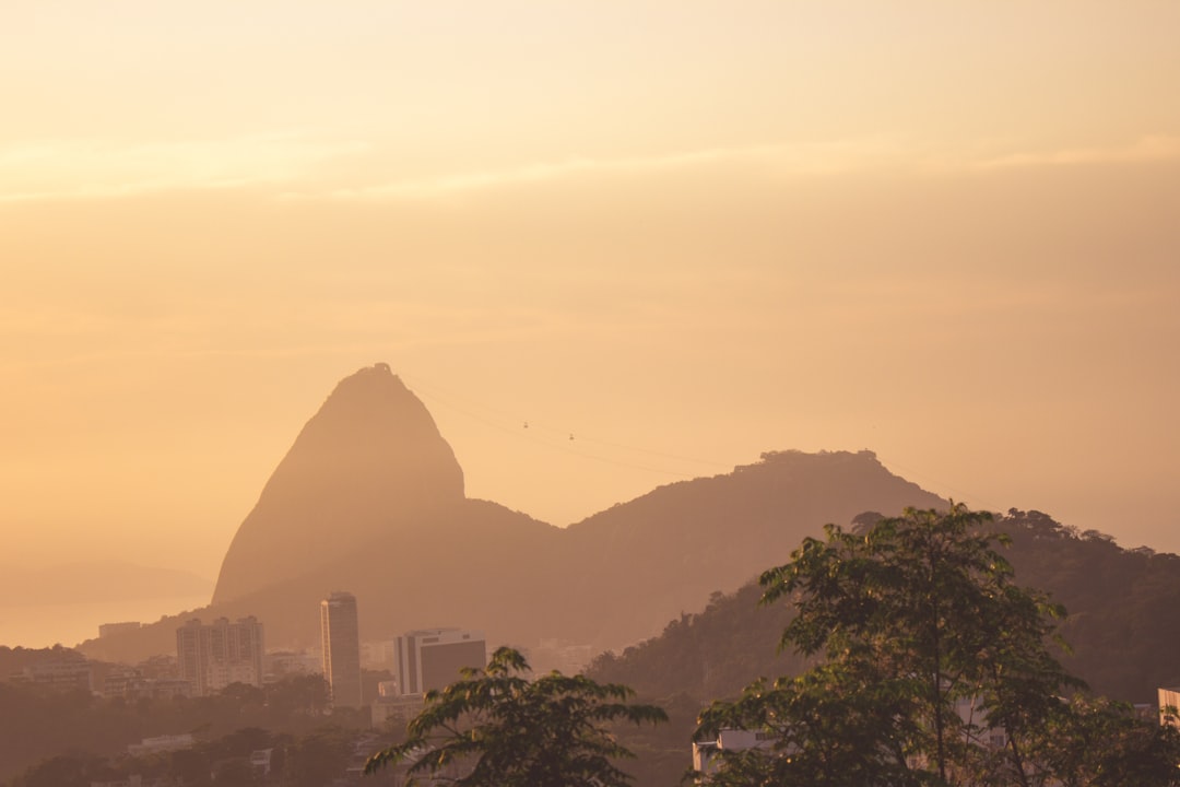 A melhor corretora de criptomoedas no Brasil: zero taxas e processos transparentes melhor corretora de criptomoedas no Brasil: como escolher a ideal para você - account guide