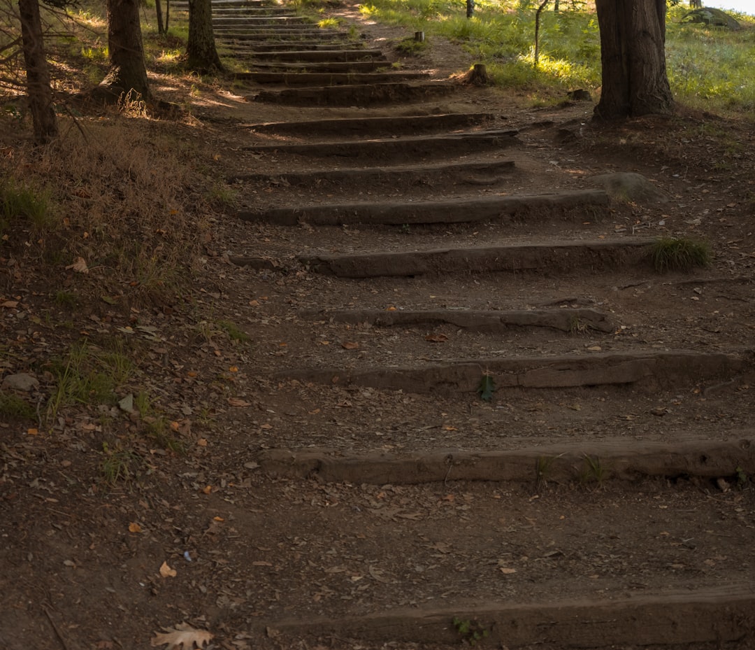 ertha - completing steps