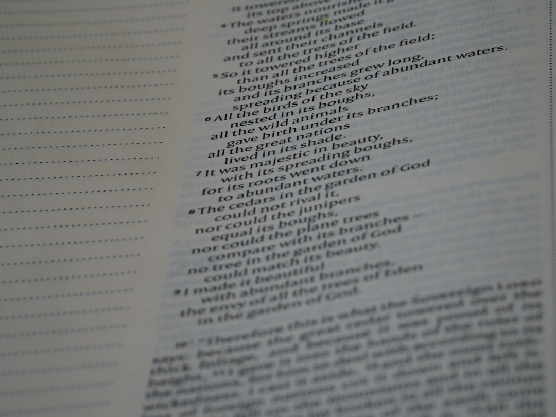 Fontes confiáveis de notícias sobre cripto - notes take