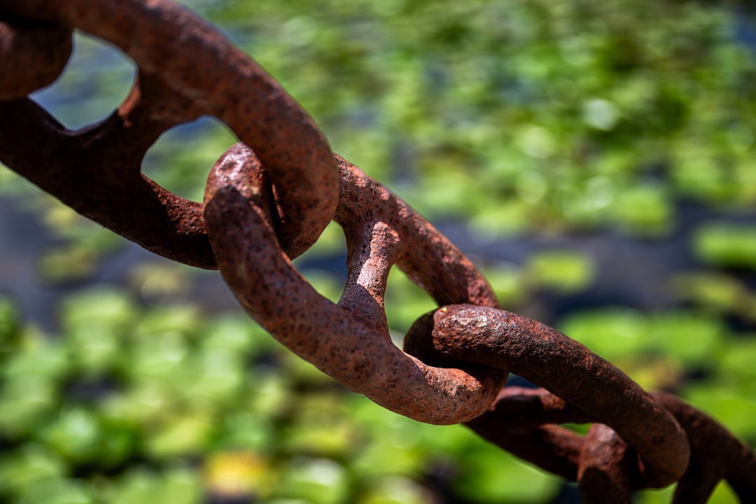 O que é o O que é o