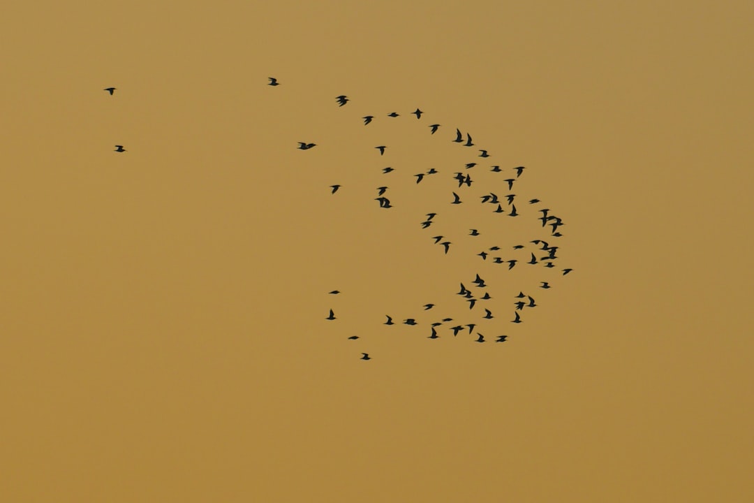 dispersion trading - while dispersion