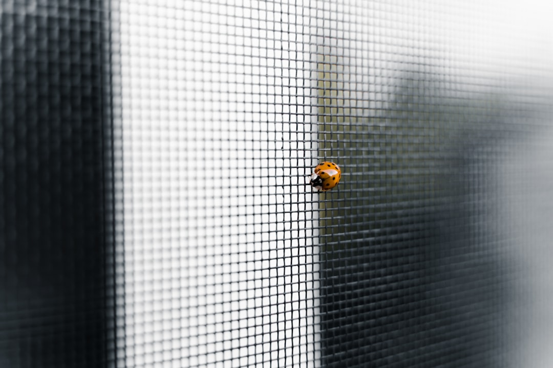 Como participar de programas de bug bounty - prepared Como participar de programas de bug bounty - prepared