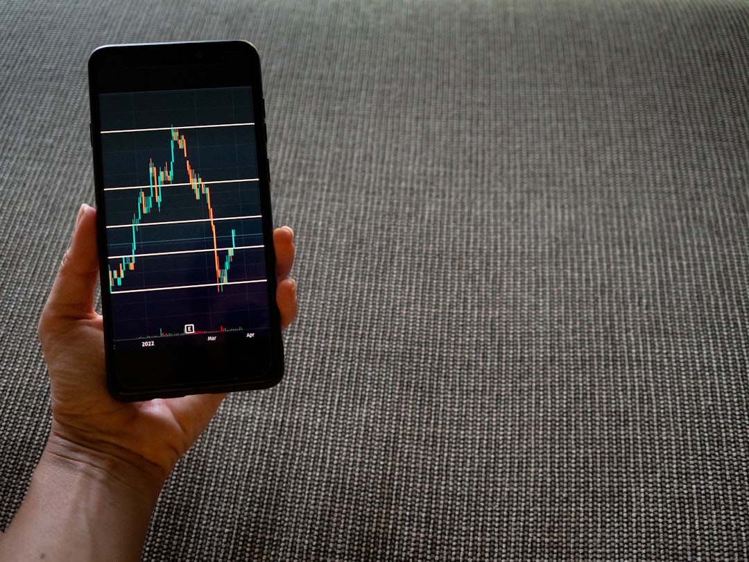 Ciclos de mercado de 4 anos - investors looking