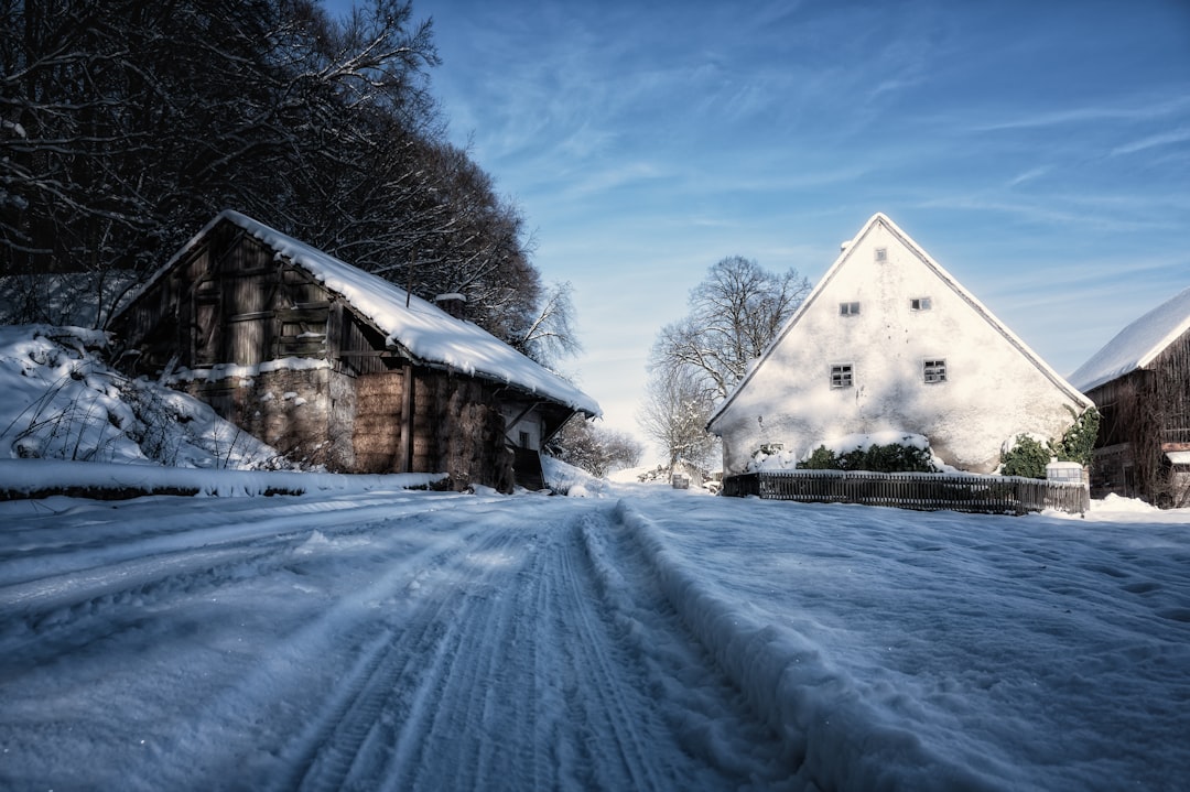 História dos invernos cripto - História dos invernos cripto: ciclos de baixa e lições para investidores