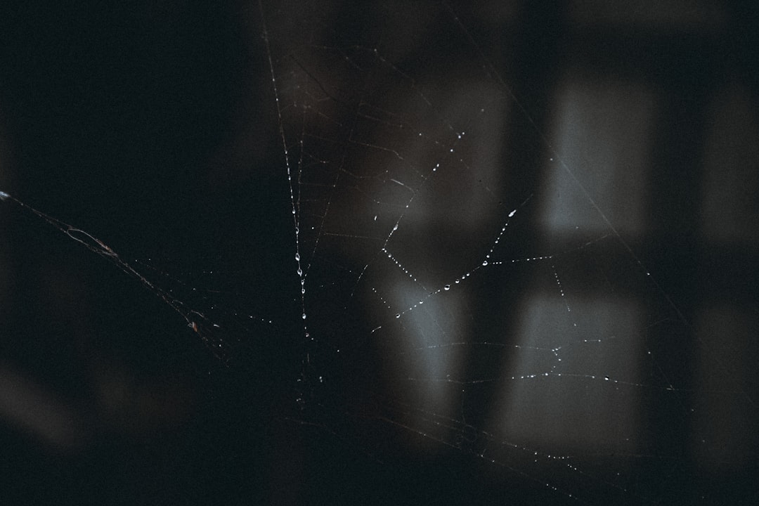 Como a Web3 e a autocustódia capacitam a soberania do usuário sobre seus dados e ativos - Como a Web3 e a Autocustódia Capacitam a Soberania do Usuário sobre Dados e Ativos