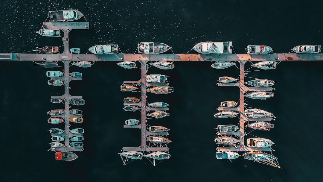 f1 delta - stop strategy f1 delta - stop strategy