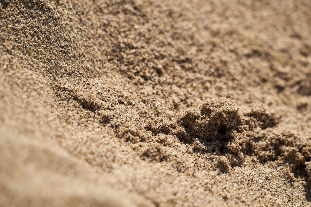 The Sandbox (SAND) - land valuable
