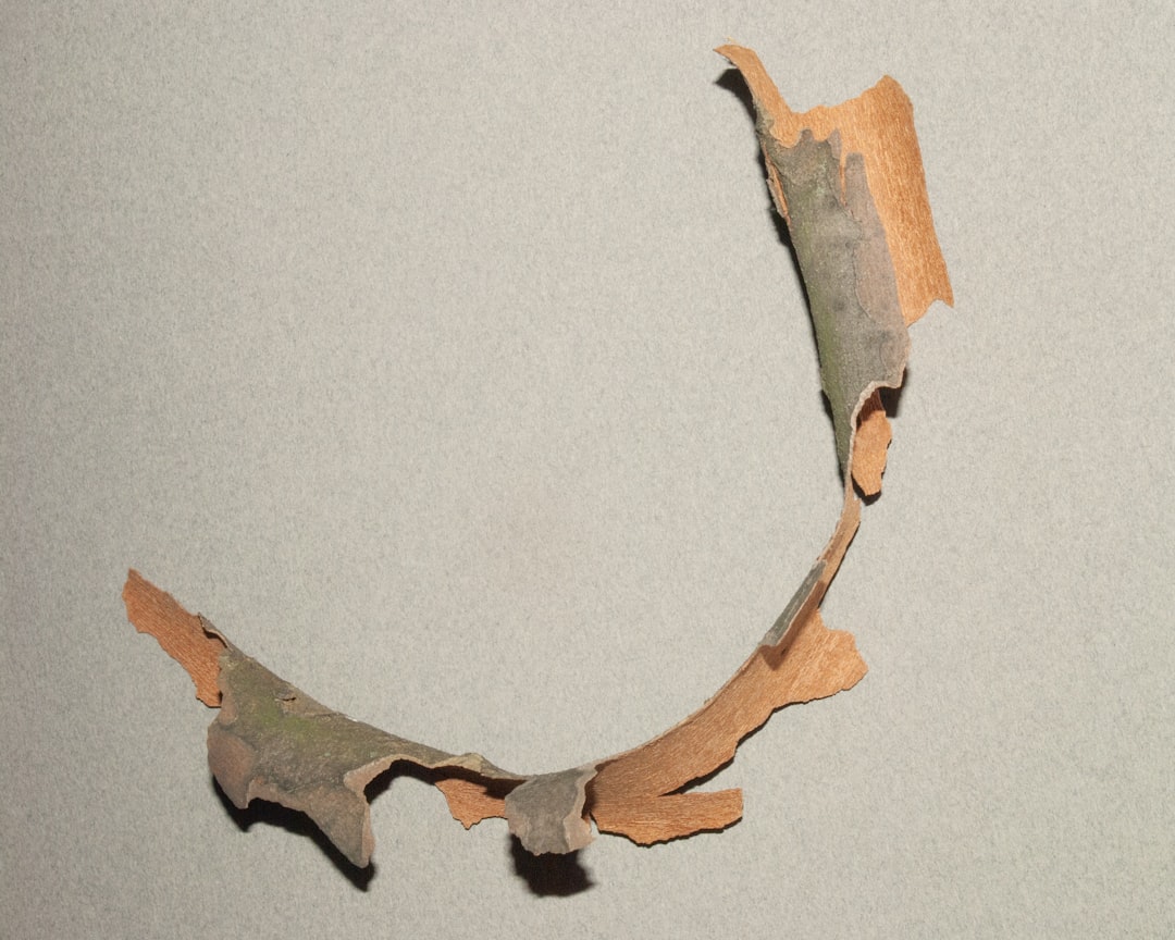 charm delta decay - result daily