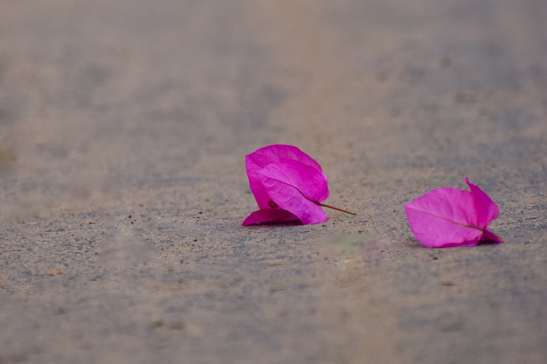 Impermanent loss explicado - Impermanent loss explicado: tudo o que você precisa saber para proteger seus investimentos em DeFi