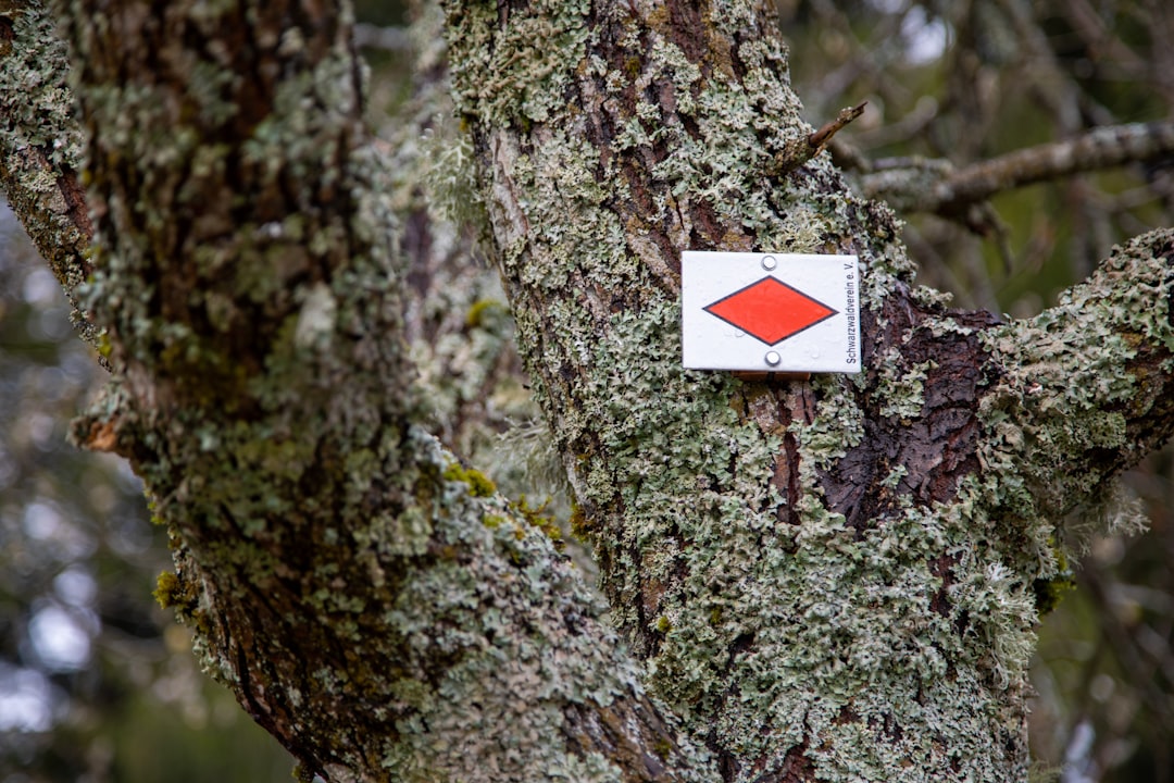 Como os protocolos recompensam todos os participantes do ecossistema - guide check Como os protocolos recompensam todos os participantes do ecossistema - guide check