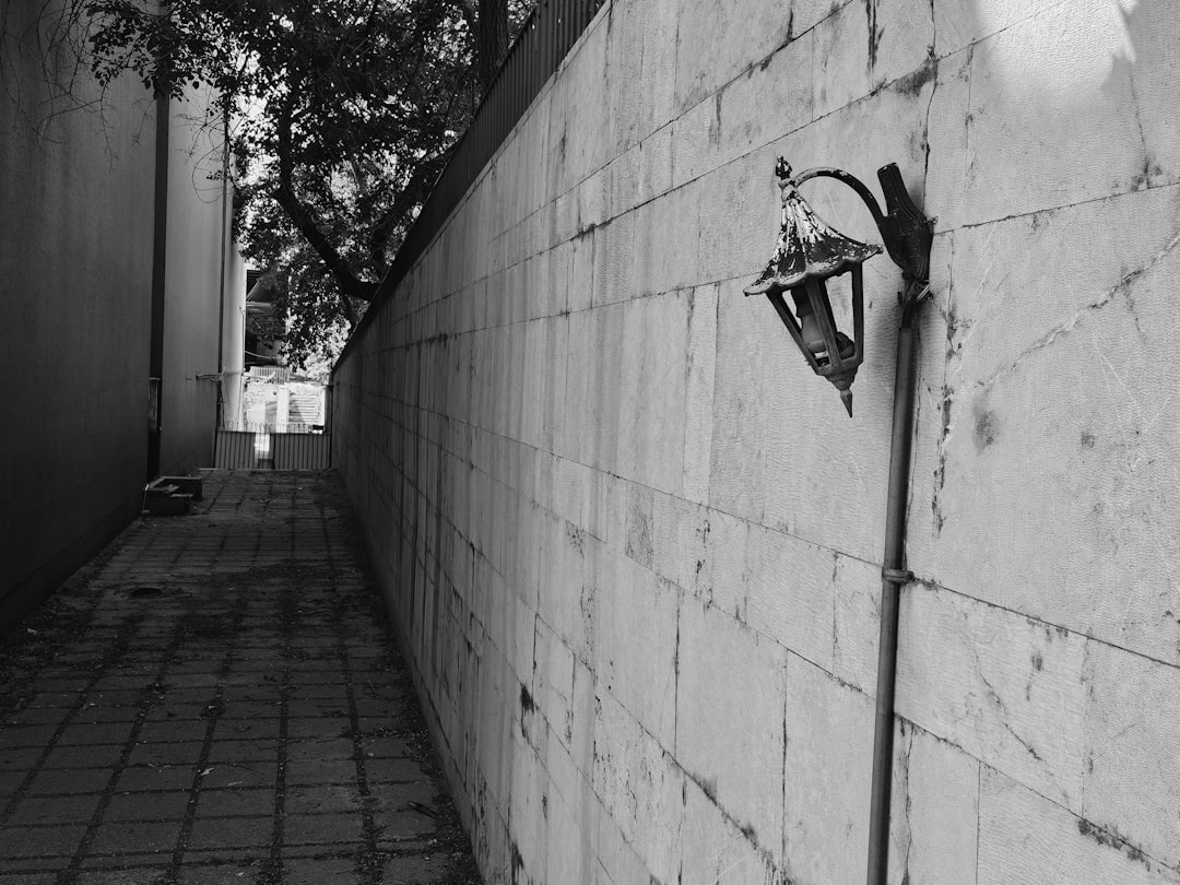 Melhor corretora de criptomoedas no Brasil: negociação gratuita e inovadora - brazil still