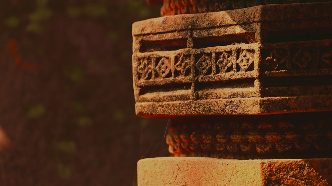 Como designar guardiões para a sua carteira - present detailed