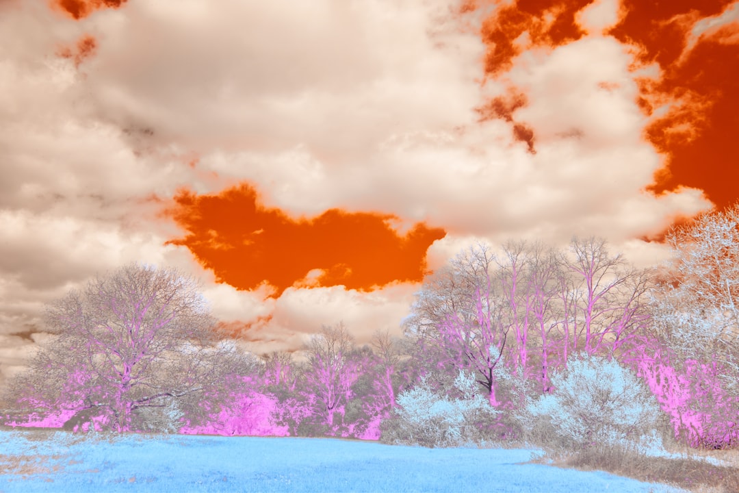 metaverso terrenos virtuais - Metaverso e Terrenos Virtuais: Guia Completo 2025 – Como Comprar, Investir e Lucrar