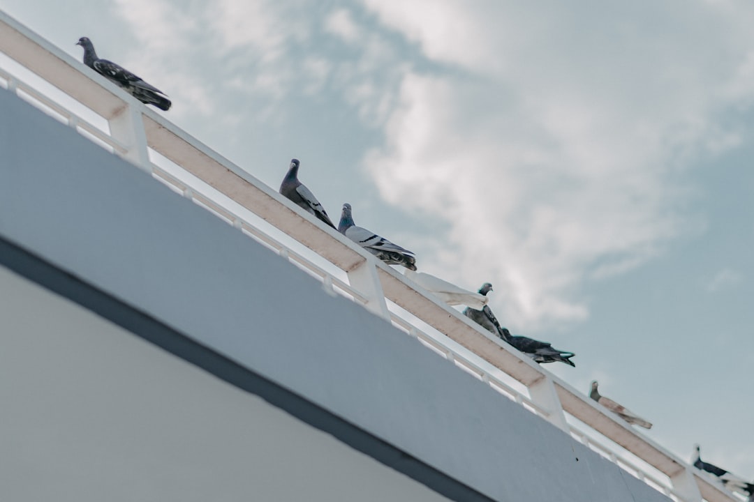 Bored Ape Yacht Club - Bored Ape Yacht Club: O Guia Definitivo sobre o NFT mais Icônico e seu Impacto no Mercado Cripto Português