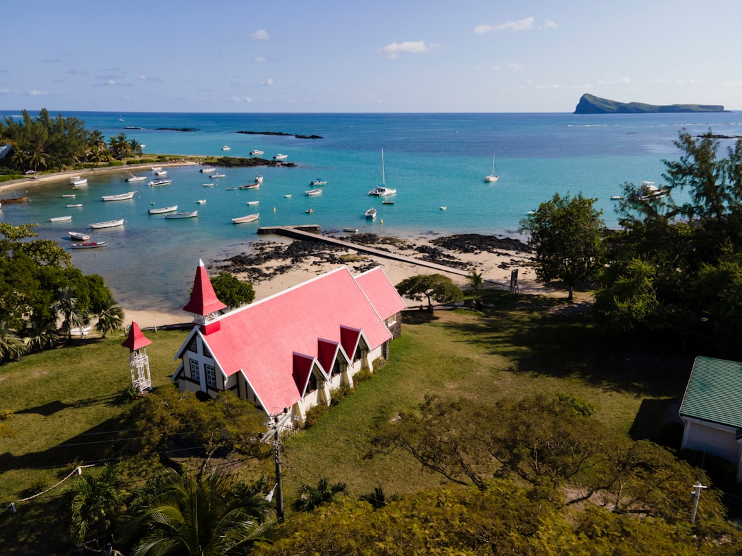 nifty island - market success