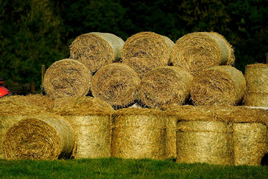 farming vs staking - prices supplied